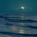 유니온메디케어 이미지