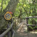 구천동 어사길 | 구천동 어사길