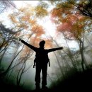 나를 본다 이미지