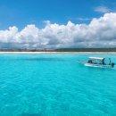 고대1107 이미지