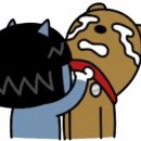 우성애견 이미지