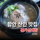 마산 중리 근처 맛집 본가삼계탕 마산대학 근처 함안 산인 보양식 삼계탕 오리불고기 추천