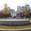 원주치악체육관 이미지