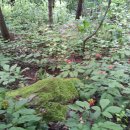 삼주농장 이미지