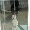 아찌살롱 이미지