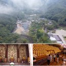 단박에 조선사 | 아주 사적인 여행, 추풍령 테마파크·휴게소 직지사 흑돼지구이… 김천 가볼만한 곳 소개