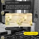 코코 | 성당 결혼식 혼배미사 매리 코코 후기(신부대기실, 버진 로드 꽃길)