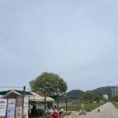 황룡강 생태공원(옥외1) | 옐로우 박스 (장성황룡강생태공원 내 위치 !+애견동반 가능+실외만 ㅇ+장성에서 한강라면 먹기 )후기 ⭐️⭐️