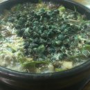 메밀다방