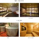 도미인 서울 강남 이미지