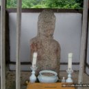 입석1구 Daum카페