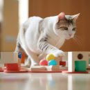 Fall in Rags 이미지