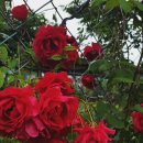 오월의 하루 이미지