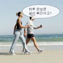 만보 이야기 84( 칼국수 먹고..) 이미지