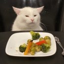 삼백한우뜰 이미지