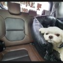 지에스25 금천행복점 이미지