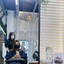 커티즘바이 이미지