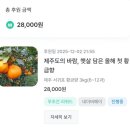 부자컴퍼니 | 오마이컴퍼니 제주조이감귤농장 황금향 후기-겨울면역력에는 비타민c 가득 황금향 최고