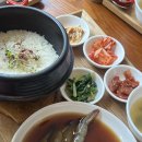 4월 10일 기준 포항 호미곶 유채꽃밭, 카페 네스트코퍼레이션, 보릿돌교, 경주피자옥, 경주카페마르쉐