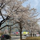 의왕시청 입구 이미지