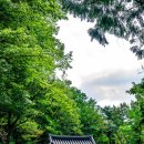 창원 성주사 관음보살입상 | 창원 성주사