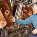 소보소농장 이미지