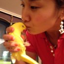 꽃순이PC 이미지