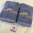 알프스 스크린골프존 | 대전 이색 체험 추천 알프스다이빙ㅣ가격 준비물 후기 등 총 정리