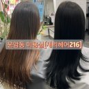 모먼트1479 | 운암동미용실 톤 다운 염색 추천 세리헤어216
