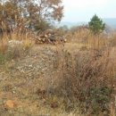 만취정로 이미지