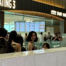 하이하늘민박 | 스카이허브 라운지, 미국 입국심사, 숙소 은하네민박 후기, 하이롤러 관람차 야경, 고든램지 피쉬앤칩스...