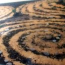 토러스농장 이미지