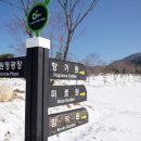 허브밸리(암석원) 이미지