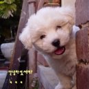 :다