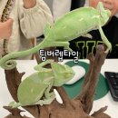 팀버렙타일 이미지