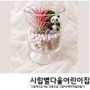 만 2세 유아 원예수업 테라리움 만들기, 성복동 시립별다올 어린이집
