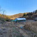 남선농장 이미지