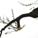 학동 펜션 이미지