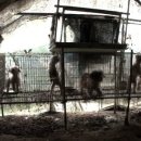 산채마당 이미지