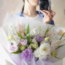 쏭블룸 이미지