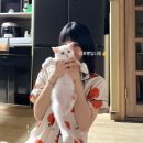 묘생역전 | 길고양이 입양 한 달차 후기｜초보 집사의 냥줍 성장일기