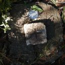 명성김주형한의원 이미지