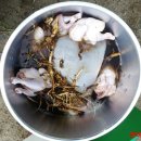 백마산야초건강원 | 8월 22일 한방삼계탕모임후기