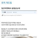 개이득마켓