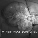 새롬동물병원 이미지