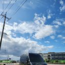 하율농장 | 제주 11월 귤따기 체험 극조생 감귤 체험장 하율이네 감귤농장 방문 후기~