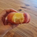 미라클 호스텔 이미지