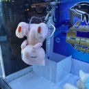 대빵인형뽑기(마곡점) 이미지