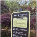 개웅어린이공원 네이버블로그