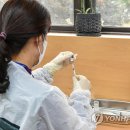 장남보건소 이미지